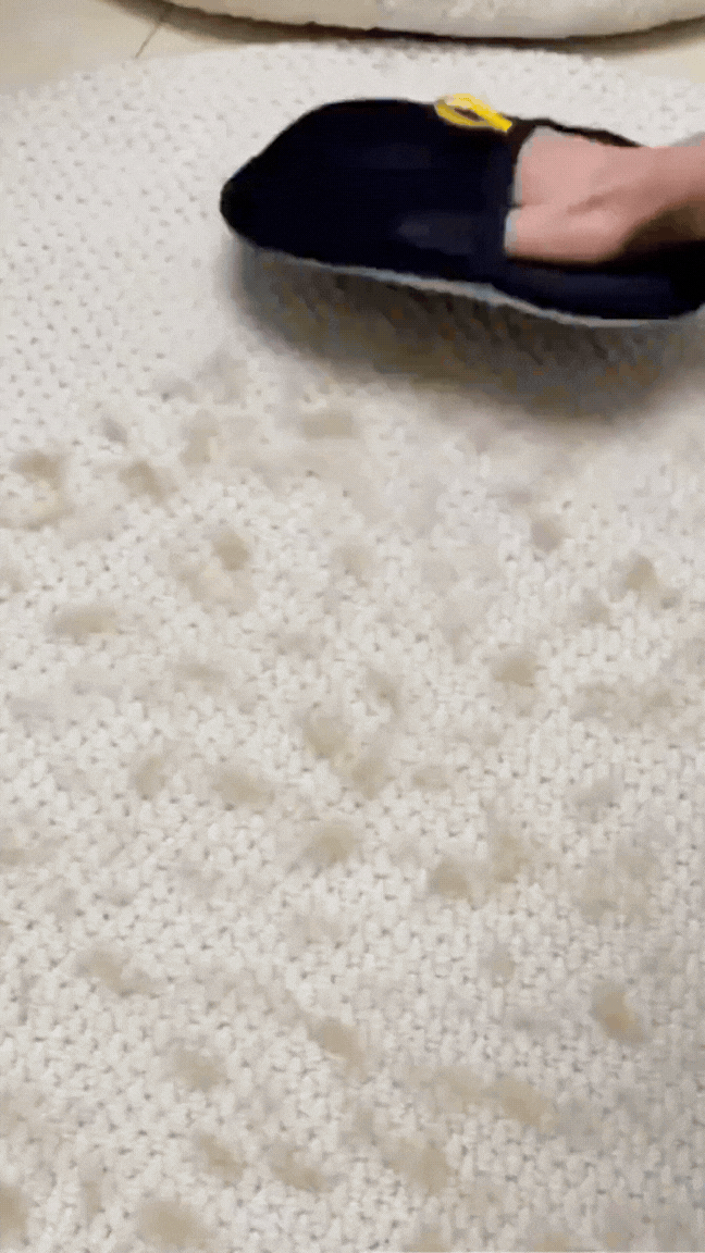 Gant Anti-Poils Chien & Chat – Enlève les Poils sur Canapé, Tapis et Vêtements
