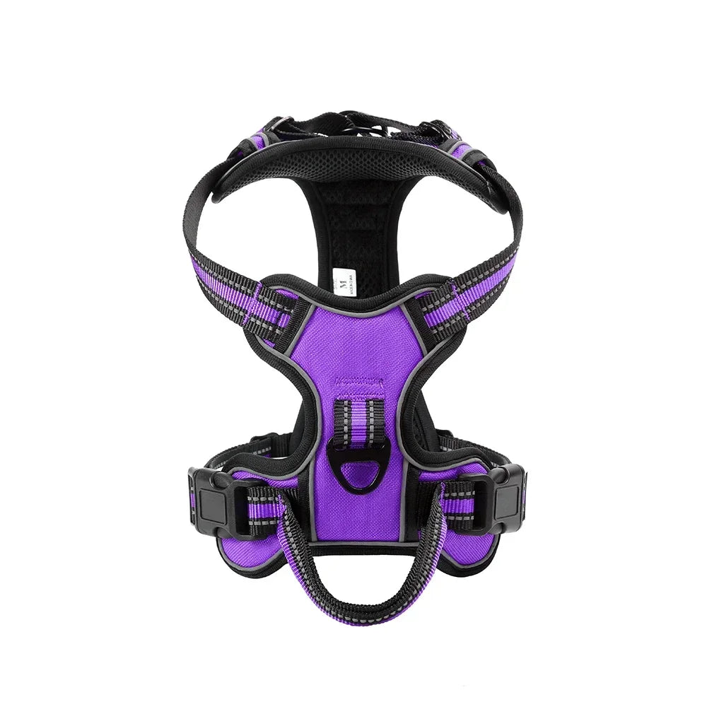 Harnais réfléchissant pour chien CompagnonPropre - coloris Violet