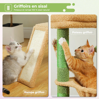 Arbre à chat avec poteau griffoir et rampe griffoir en sisal naturel – CompagnonPropre