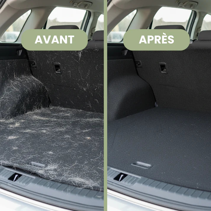 Gant Anti-Poils Chien & Chat – Enlève les Poils sur Canapé, Tapis et Vêtements