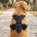 Harnais réfléchissant pour chien CompagnonPropre - porté, vue de dos