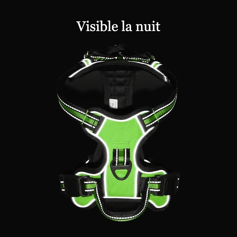 Harnais réfléchissant pour chien CompagnonPropre - coloris Vert, visible la nuit